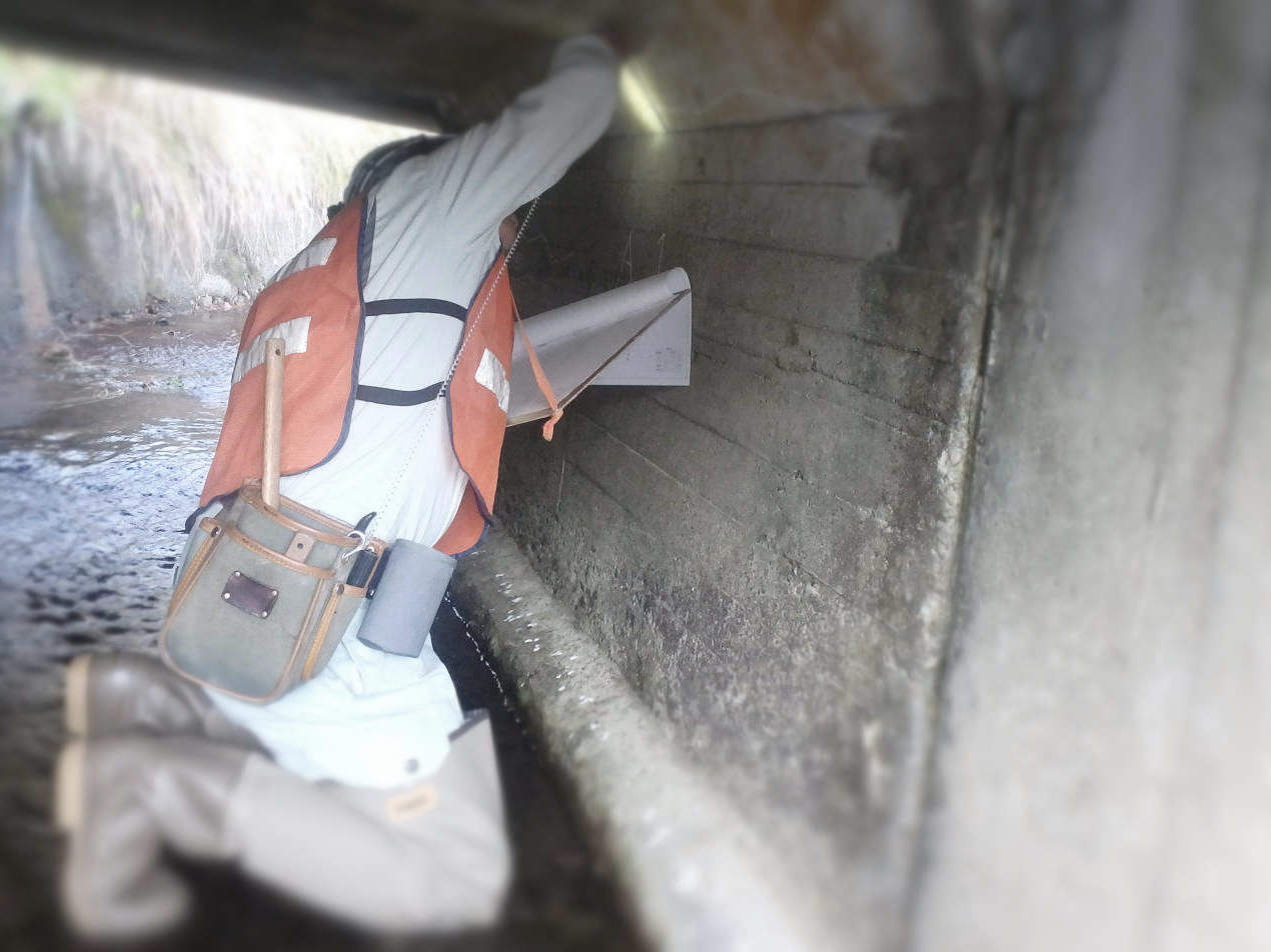 点検作業中
